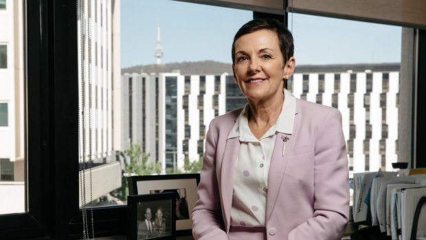 Australian Small Business and Family Enterprise Ombudsman Kate Carnell. 