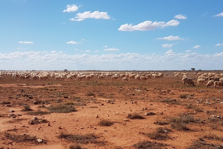 Rawlinna Station is being sold for the first time in over 60 years.