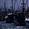 Probe into deaths of Queensland fishermen who were never found