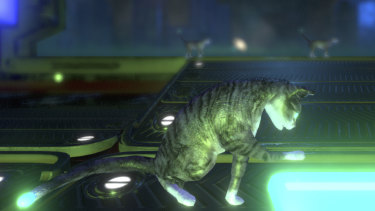 Inside the Neon Cyborg Cat Club