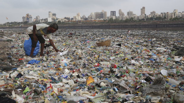 A man collects plastic and other recyclable material from the coast off Mumbai. 