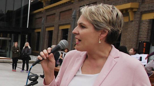 Tanya Plibersek speaking at the Save the Powerhouse rally in 2015.