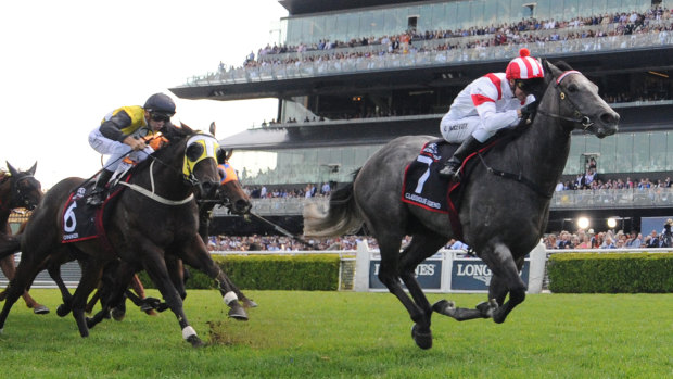 Classique Legend wins the Arrowfield Sprint  in April with Kerrin McEvoy in the saddle.