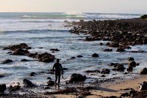 Coastal life: Ballantyne surfs, and also works at the port.