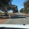 WA Labor MP denies filming using phone while driving in the Wheatbelt