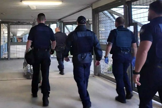 Griffith was handcuffed and extradited to NSW, where he is facing more than 200 historical sexual abuse offences.