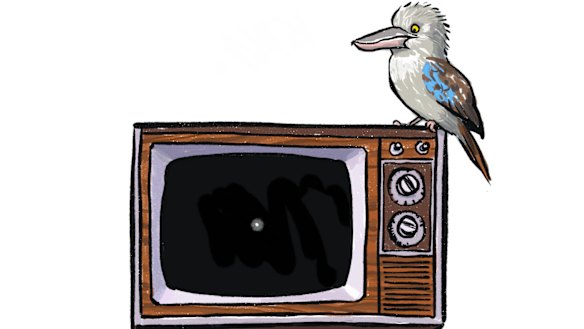 Illustration: Matt Davidson