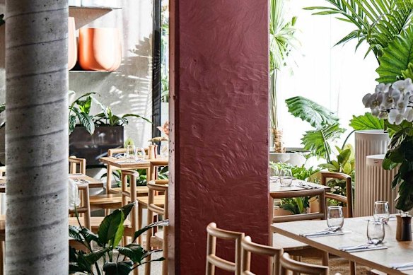 Moreish mezze in a sun-dappled courtyard at The Green.