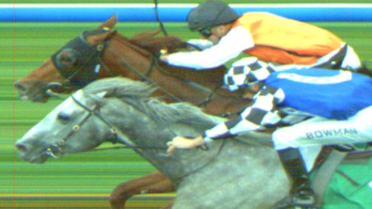 Ellsberg and Top Ranked dead heat in Epsom.