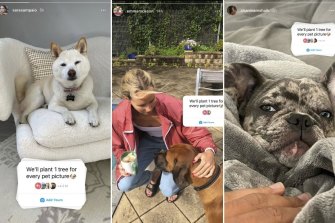 Swimmer Emma Mckeon (centre) and models Sara Sampaio and Shanina Shaik took part.