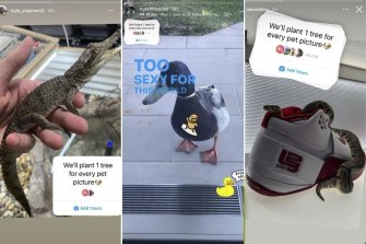 Pets of all kind were welcome.