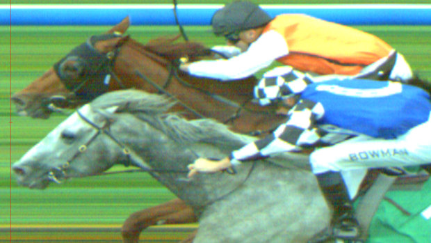 Ellsberg and Top Ranked finish in a dead heat in the Epsom.
