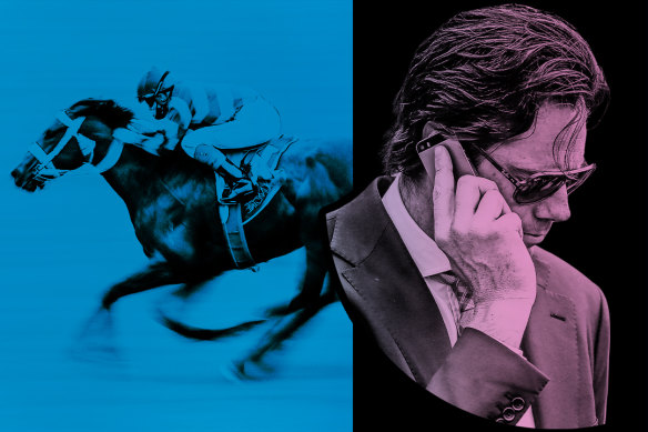 Ex-AFL chief Gillon McLachlan took over as Tabcorp CEO in August.