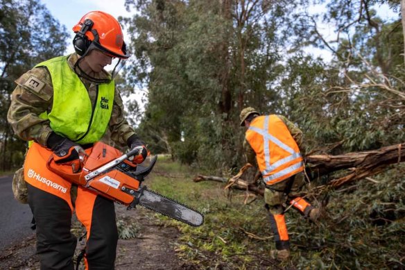 ADF personnel clearing trees in the Dandenongs on Monday.