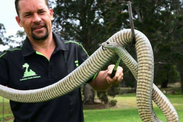 Snake catcher Sean Cade says most people are bitten either trying to catch or kill snakes.
