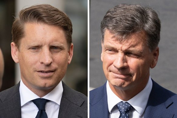 Liberal MPs Andrew Hastie and Angus Taylor.