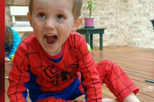 William Tyrrell disappeared from Kendall on the Mid North Coast in 2014.
