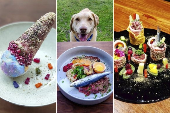 Riesa Renata posts Bowie’s fancy meals on Instagram account @masterbowie2016. Pictured from left: dog-friendly ice-cream, surf-and-turf, and sushi-like degustation