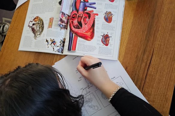 Brisbane mothers Sandy Whiteman and Kristy Lee say they face pressure to send their children with neurodivergence to mainstream school. 