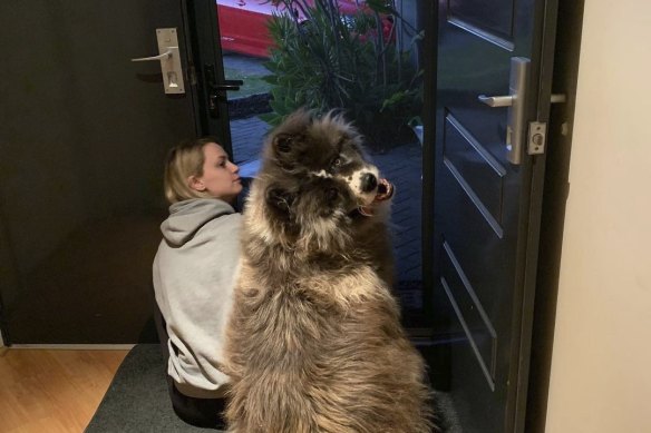 Kuma has settled into his new home, though it did take some time.