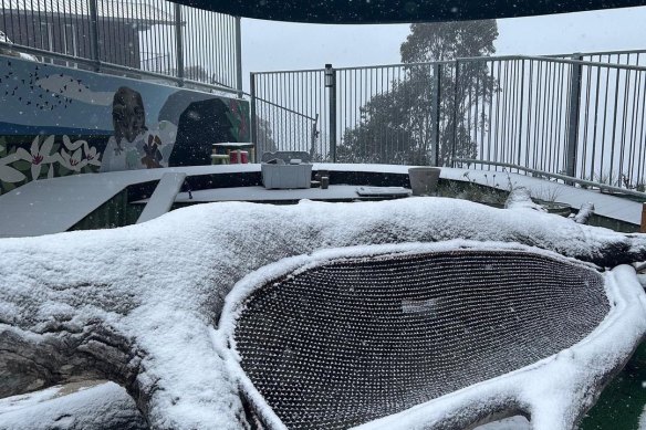 Snow at Falls Creek on December 14. 