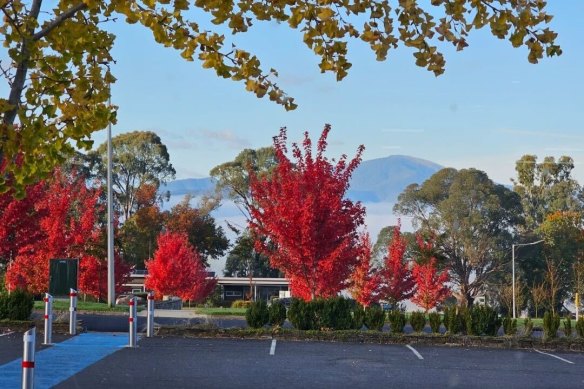 The view of the Snowy Mountains from the Pickled Parrot cafe.