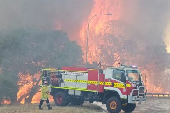 A bushfire menaced suburban homes in Bibra Lake on February 20.