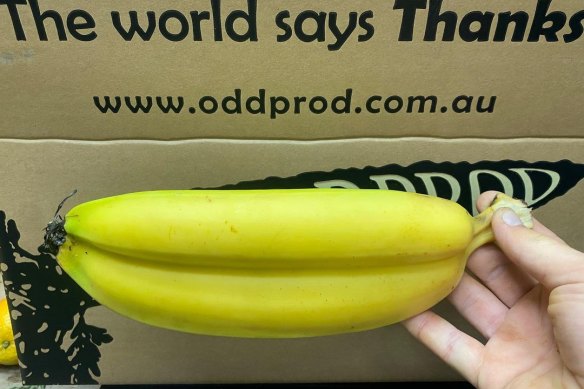 An example of the imperfect produce in produce boxes from Oddprod.