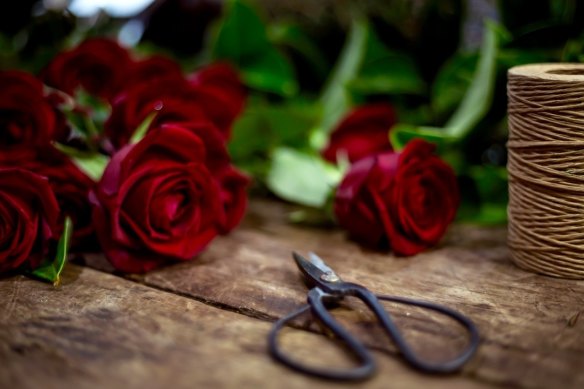 Red roses on the antique bench at Lillipollen florist in New Farm.