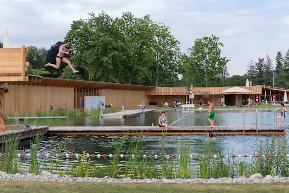 Winning entrant A Seed for Housing centred its design concept on a natural pool filtered by native grasses. 