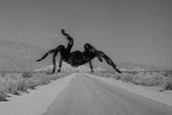 Tarantula (1955), the start of the tarantula monster trend.