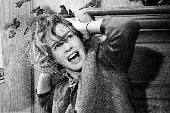 Tippi Hedren in Alfred Hitchcock’s The Birds.