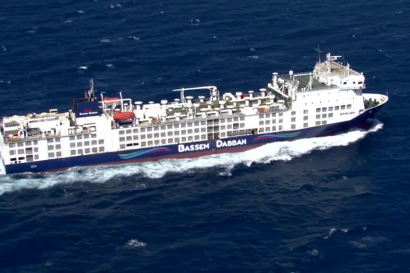 The MV Bahijah is carrying about 14,000 sheep and 2500 cattle.