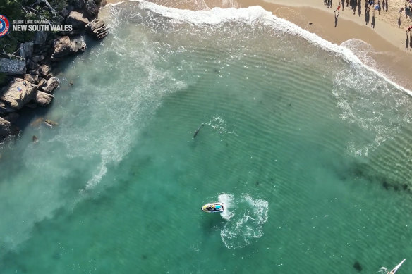 Drone footage of the incident, released by Surf Life Saving NSW. 