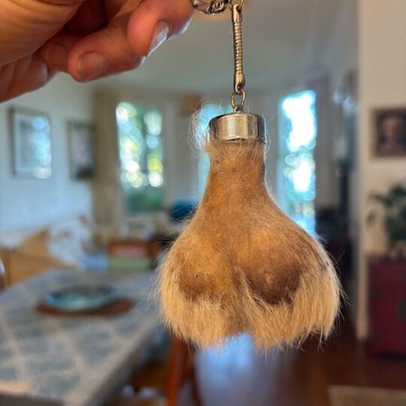 The kangaroo scrotum purse which was flung at Graham Richardson during lunch.