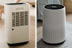 Air purifier versus dehumidifier