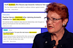 Pauline Hanson’s comments on domestic violence have been slammed by experts.