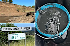 Toxic mud is overwhelming the Richmond River.