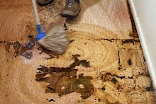 Floor that hadn’t been mopped in 10 years gets a deep clean.