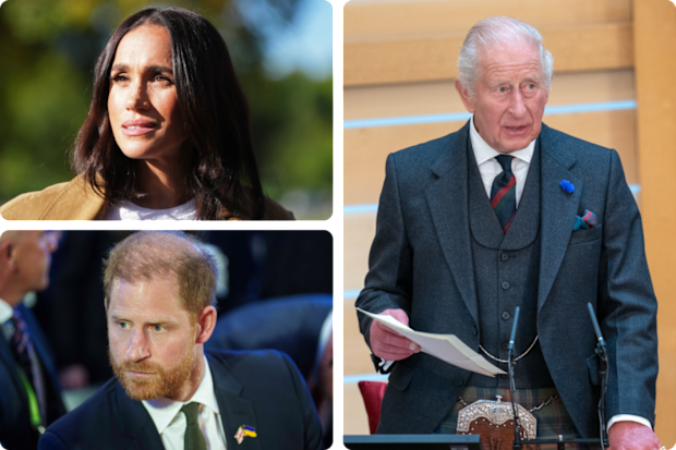 Meghan Markle, Prince Harry and King Charles