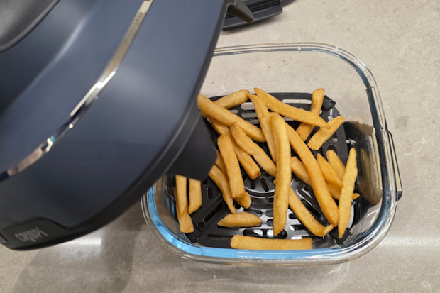 Ninja Crispi fries