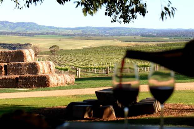 Lincoln Lewis found an exhilarating way to experience South Australia's famed wine region the Barossa Valley on Getaway 2026.