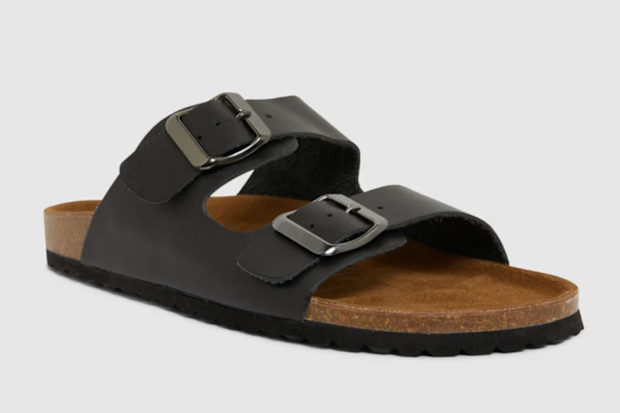 Sandler slides