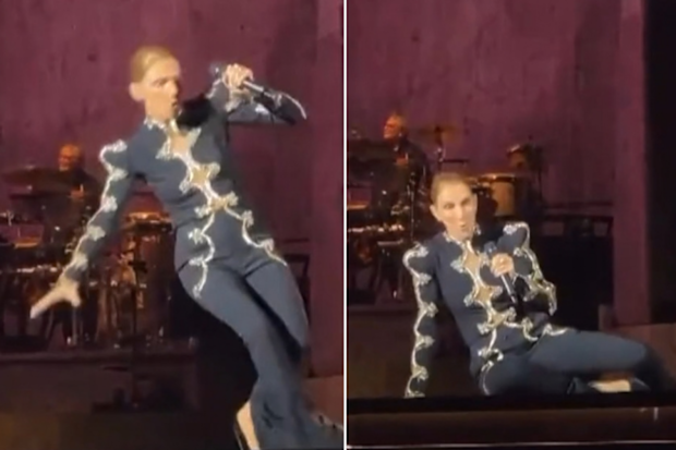Celine Dion falls on stage