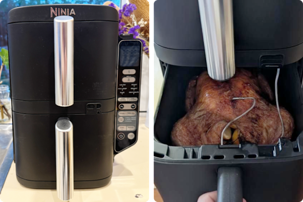 Ninja Air Fryer result
