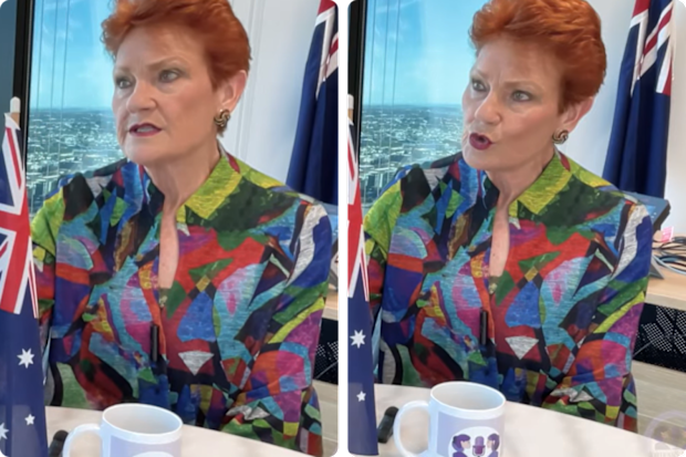 Pauline Hanson made the remarks on a podcast.