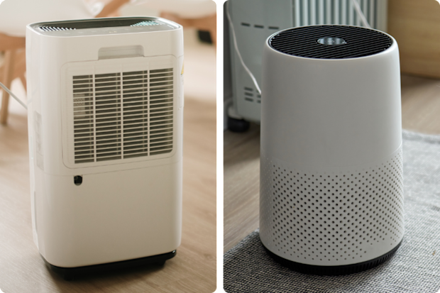 Air purifier versus dehumidifier
