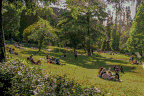 david whitehill travel tips