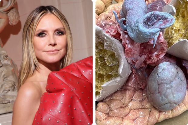 Heidi Klum shared this cryptic image ahead of her Halloween bash.
