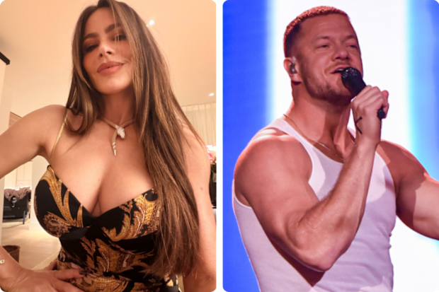 Sofia Vergara has been linked to Imagine Dragons frontman Dan Reynolds.